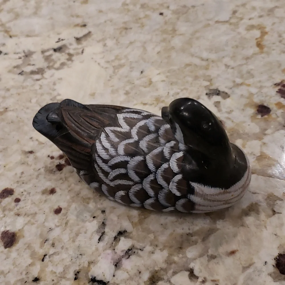 Duck - Picture 3 of 4